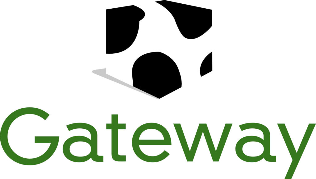 Qué es un Gateway