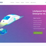 Qué es LiteSpeed Web Server