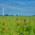 Todo sobre los recursos renovables: tipos, ejemplos y ventajas para el planeta Qué son los recursos renovables