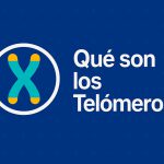 Qué son los telómeros