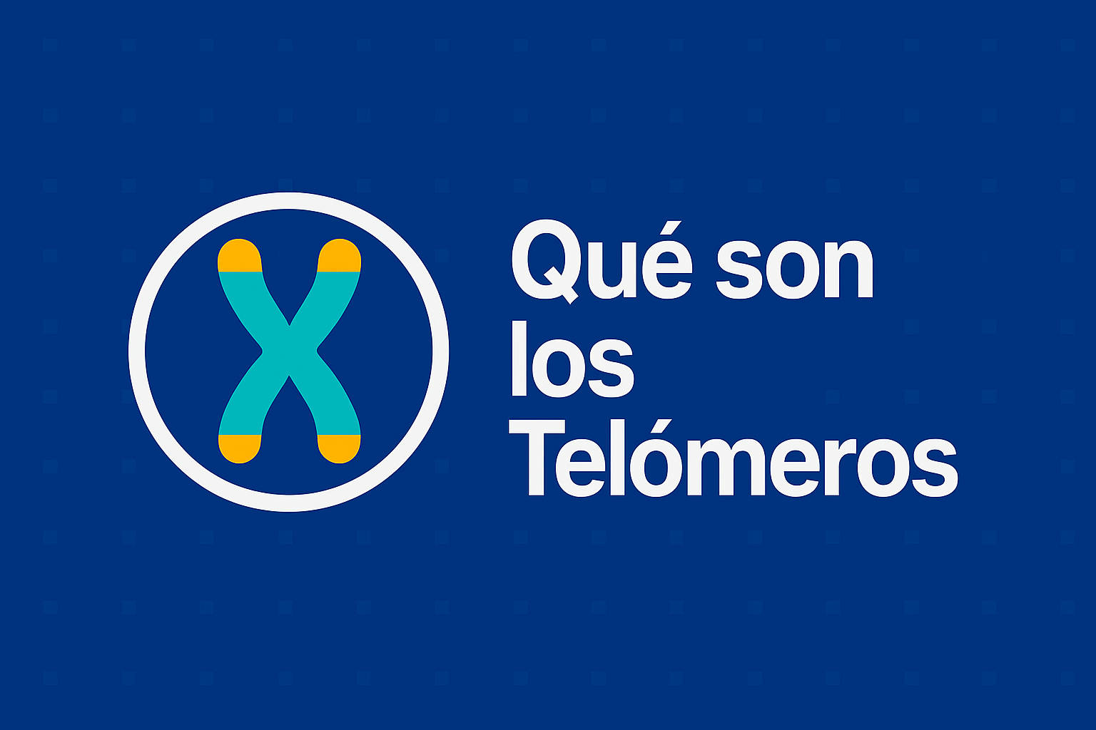 Qué son los telómeros